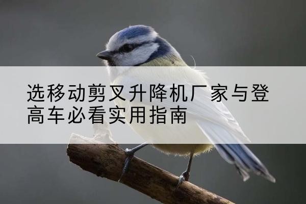 桥西电动升降机厂家-选移动剪叉升降机厂家与登高车必看实用指南